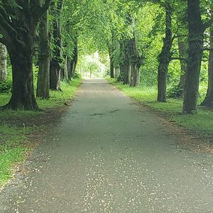 Meet your Posher, M elizabeth